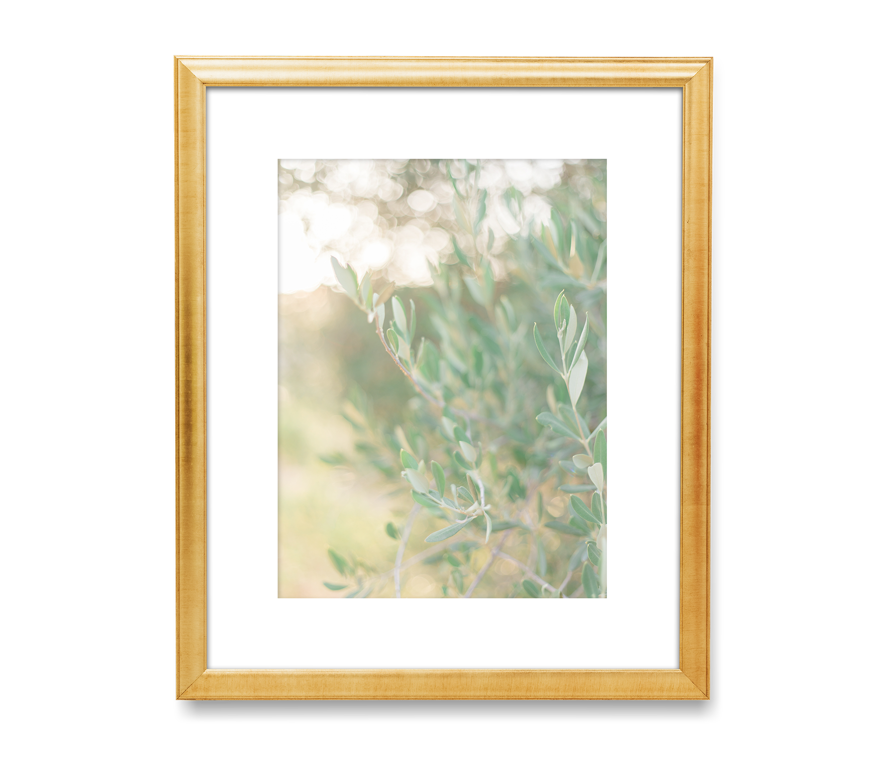Print Set Olive Grove Trio Fine Art Prints Kristin Sautter Photography