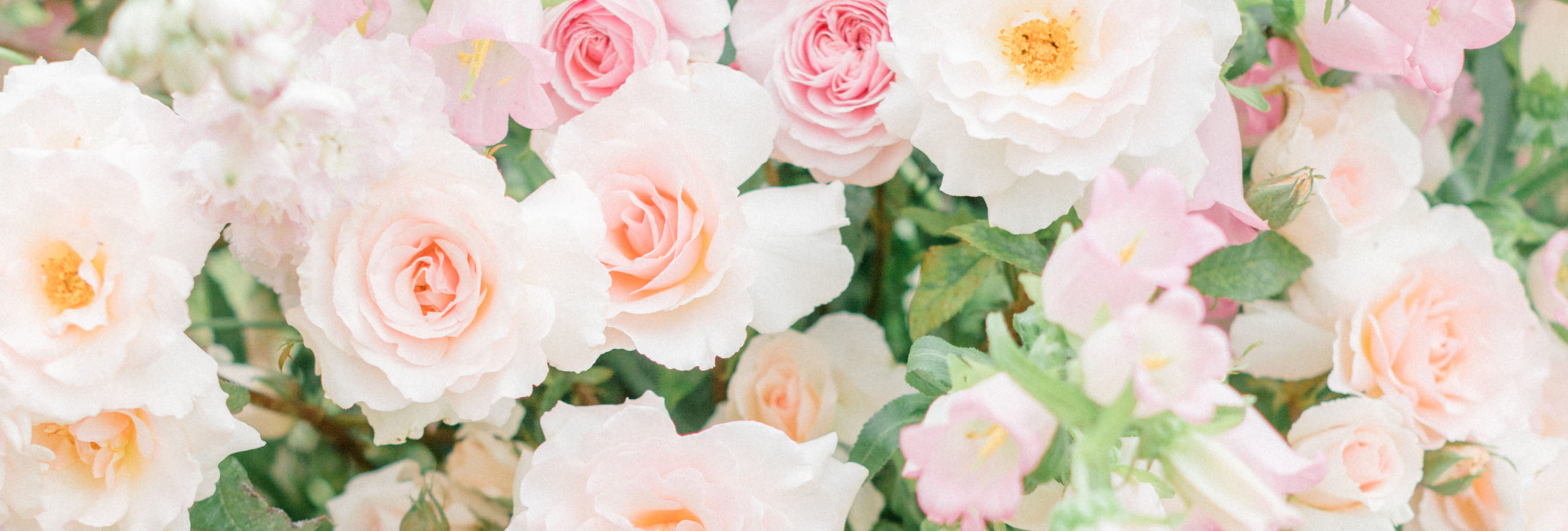 Best England Wedding Venues | Top UK Wedding Venues | English Garden Wedding Venues | Cotswolds Wedding Venues | Dorset Wedding Venues | Luxury England Wedding Venues | English Countryside Venues